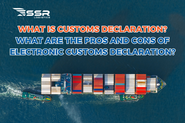 What is customs declaration? What are the pros and cons of electronic ...