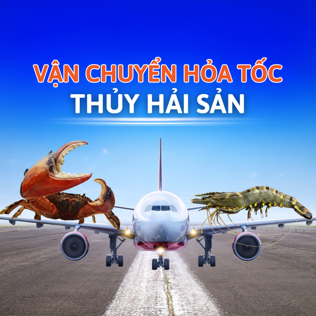 van-chuyen-hai-san-hoa-toc-1