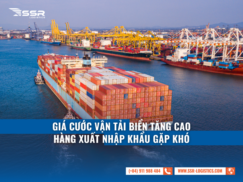 SSR-LOGISTICS-GIA-CUOC-VAN-TAI-BIEN-TANG-CAO-HANG-XUAT-NHAP-KHAU-GAP-KHO