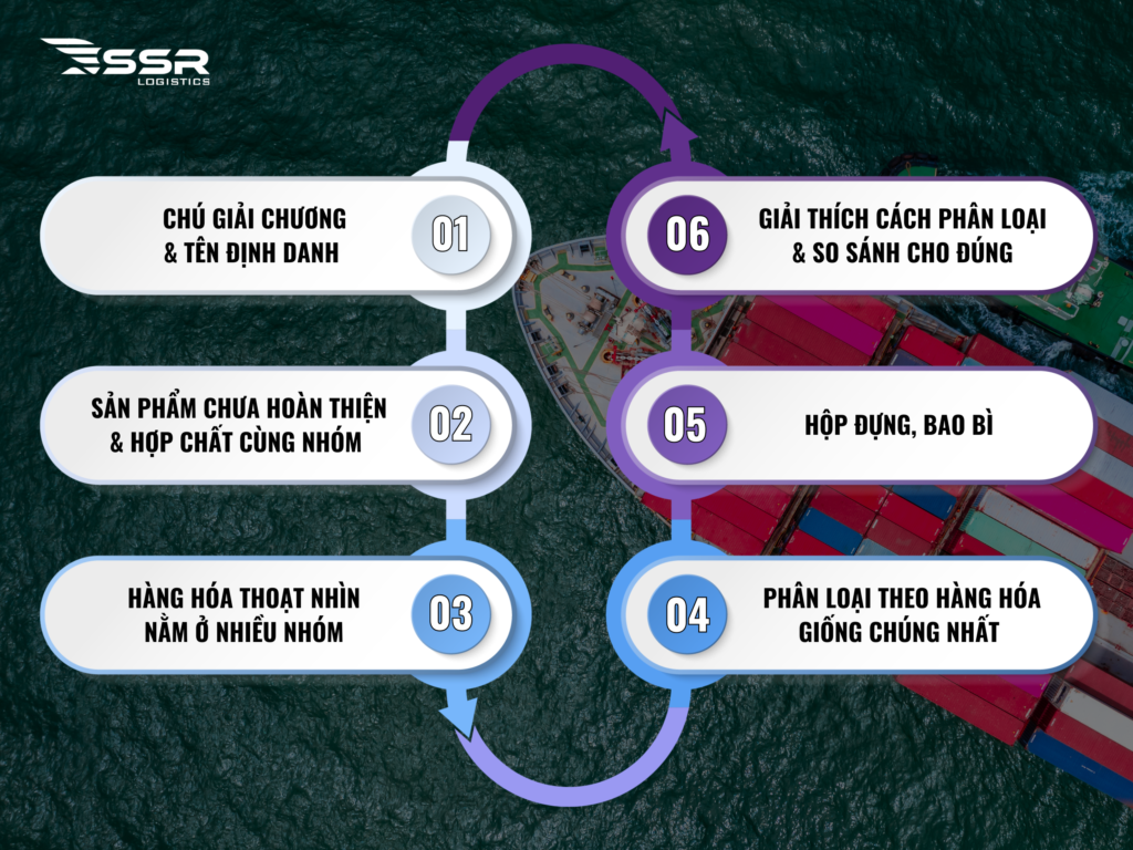 ssr-logistics-ma-hs-code-la-gi-va-cach-tra-ma-hs-code (1)