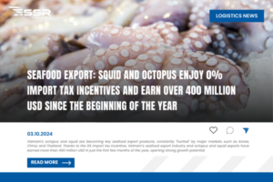 Seafood-export-squid-and-octopus-enjoy-0-%-import-tax-incentives-and-earn-over-400-million-USD-since-the-beginning-of-the-year