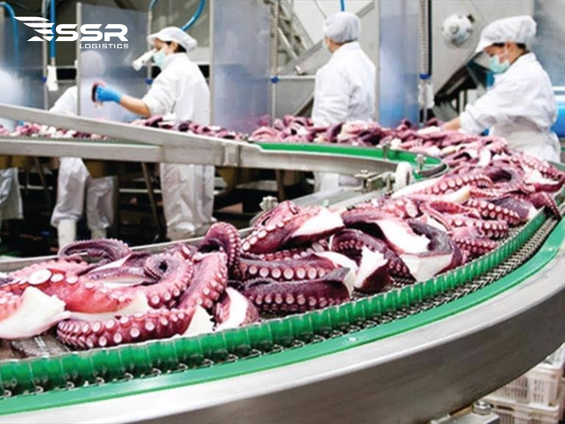 Seafood-export-squid-and-octopus-enjoy-0-%-import-tax-incentives-and-earn-over-400-million-USD-since-the-beginning-of-the-year 